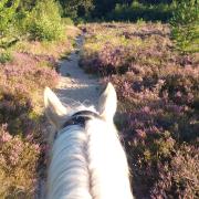 3 daagse trektocht in het Drents Friese Wold 14- 16 april