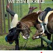 EHBO voor Paard en Ruiter
