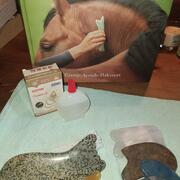 Guasha therapie voor mens en paard 