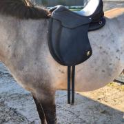 Ghost c line bolzano piccolo boomloos 