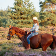 Knappe Allround KWPN ruin vos 19 jaar