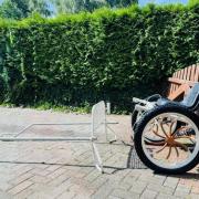 Tjeu v.d. Meulengraaf sulky 19”