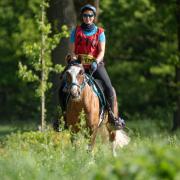 vrijblijvende informatie avond coaching 2026 (endurance) 