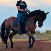 Uitzonderlijk brave Cruzado merrie met sportpotentie