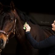 Guasha therapie voor paarden