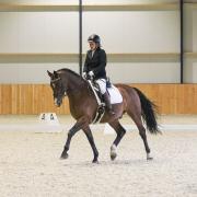Gezocht: paard om mee te mogen lessen (Vaassen/Apeldoorn)
