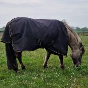 Bucas irish turnout 50g 5.9 175