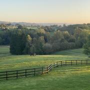 "The Meadow" Horse Retreat - 20km from Maastricht 