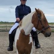 Instructie en training natural horsemanship aangeboden 