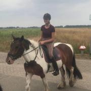 Paardenliefhebber met ervaring zoekt verzorgpaard (Nijmegen)