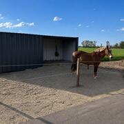 Pensionstalling / Prachtige plek voor jouw Pony