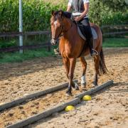 Gratis paardrijles / coaching op 10 dec in Kessel, Limburg 