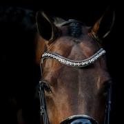 Luxe hoofdstel met strass details – topkwaliteit, nu €45