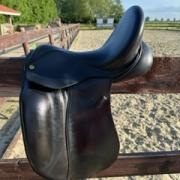 Anatomica Octant G3