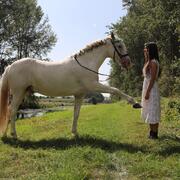 Trainingsweekenden zomer 2026