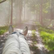 28 juni afstandstraining met HR meter - Drents Friese Wold