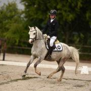 Kleine handige bijrijder voor pony gezocht