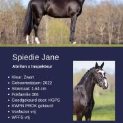 Spiedie Jane