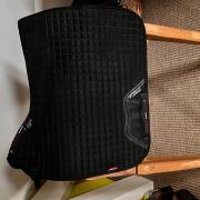 2 lemieux en 1 QHP dressuur sjabrak