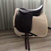 Edix Tudor 18”