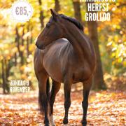 Minishoots Herfst - Grollo!