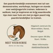 Meet Your Horse- Demo en Doe Dag