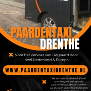 Paardentaxi Drenthe - vervoer door heel NL/EU