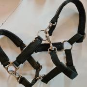 Eq-4-all halster met 3 clips, voor jonge of kopsschuwe paard