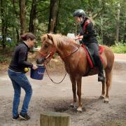 Oefen endurance 26 okt - Drents Friese wold 10 & 20 km (r&m)