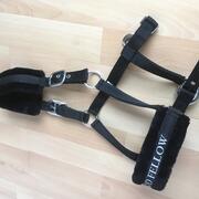 Zwart halster, zacht onderlegd, maat cob