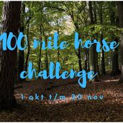 100 mile horse challenge 