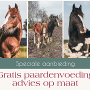Gratis Paardenvoeding Advies Op Maat!