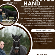 Clinic werken aan de hand - katinka de haan 