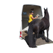 Trailerladen zonder stress