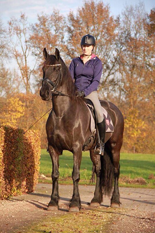 Afbeelding