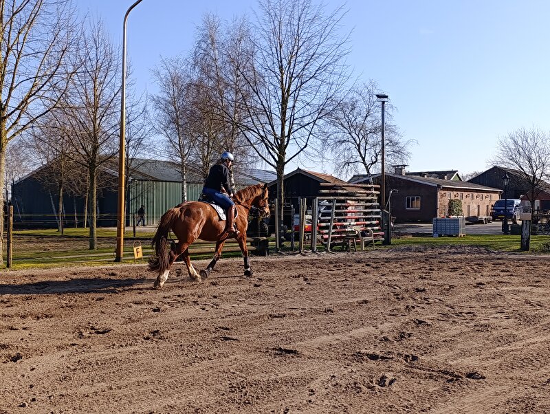 Afbeelding