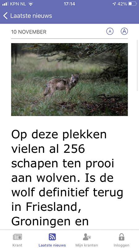 Afbeelding
