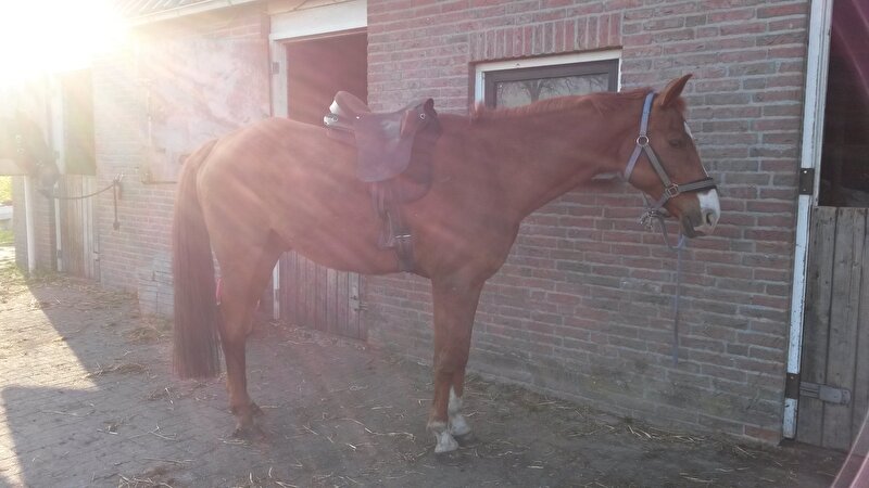 Afbeelding