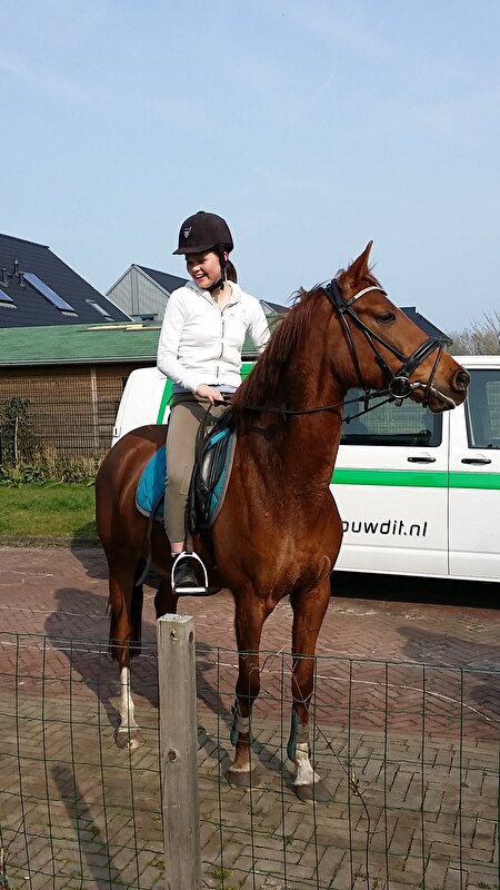 Afbeelding