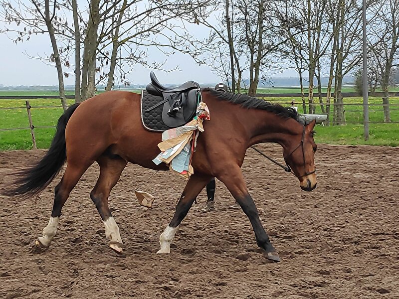 Afbeelding