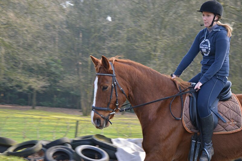 Afbeelding