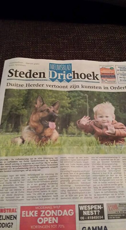 Afbeelding