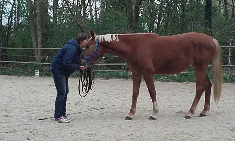 Afbeelding