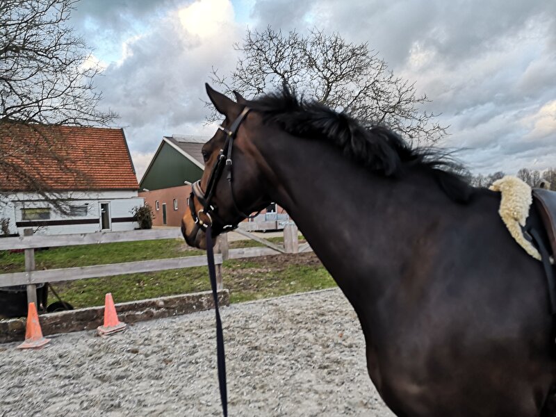 Afbeelding