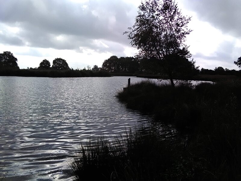 Afbeelding