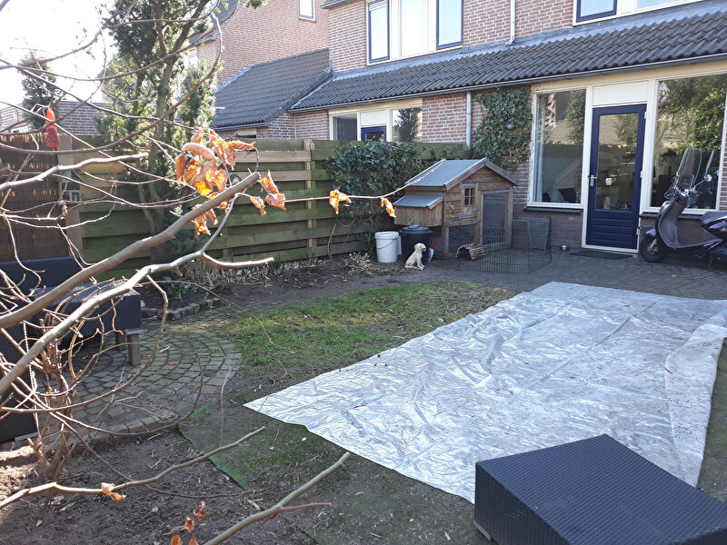 Afbeelding