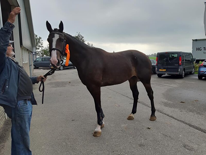 Afbeelding