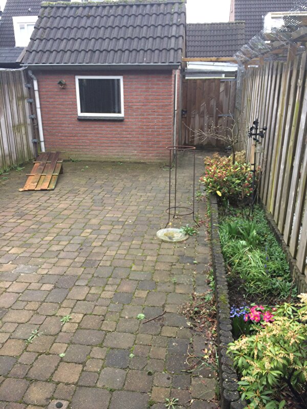 Afbeelding