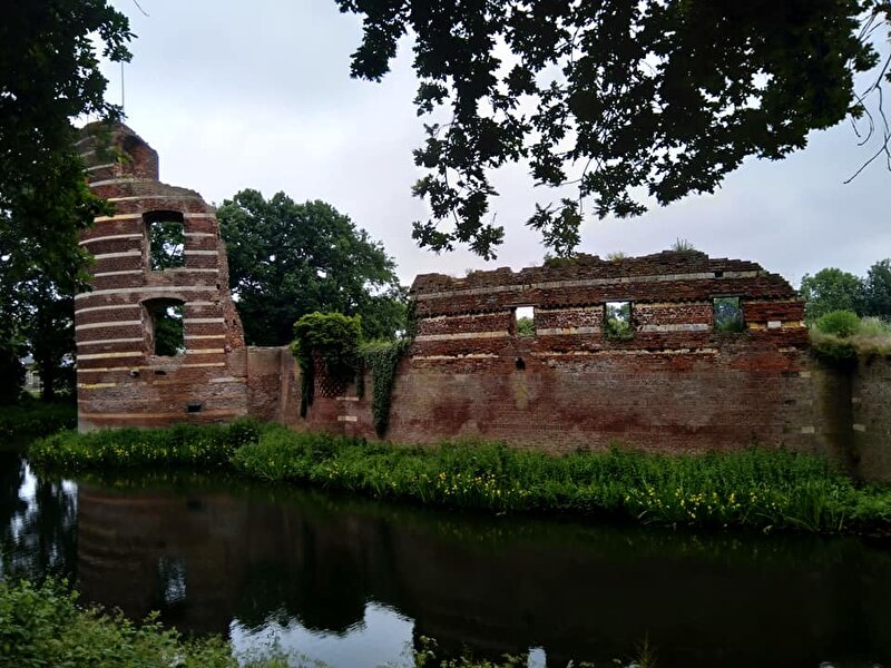 Afbeelding