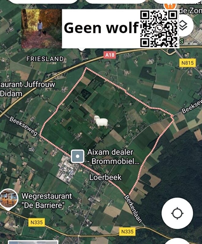 Afbeelding